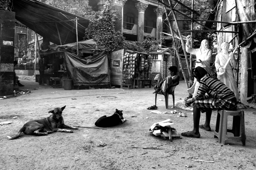 Kolkata 12