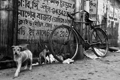Kolkata 17
