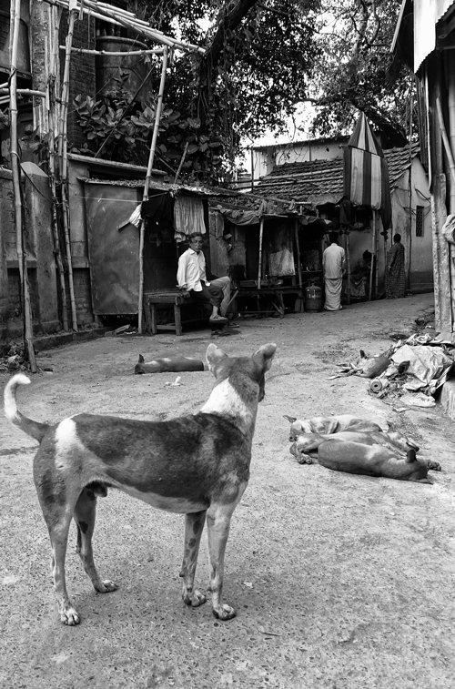 Kolkata 19