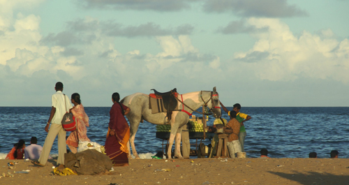 Marina Beach 15