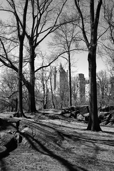 New York 1