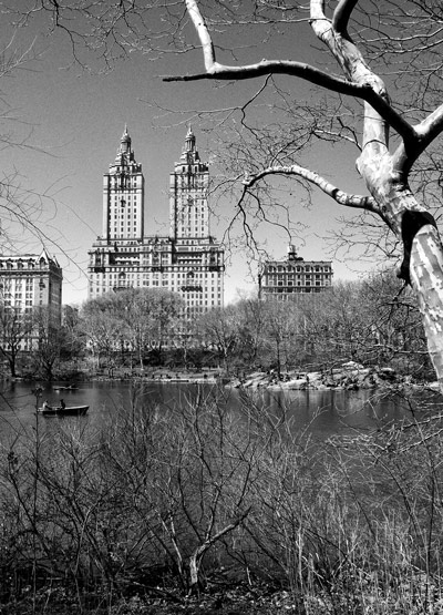 New York 3