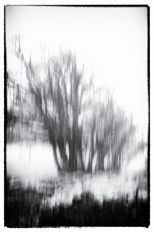 Quand c'est flou... 4