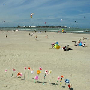 Plage du nord 4