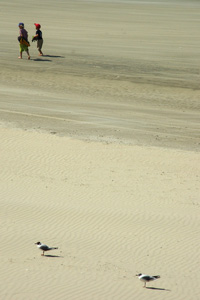 Plage du nord 11